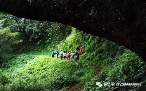 花冠与爱奶粉，便便问题终结者！